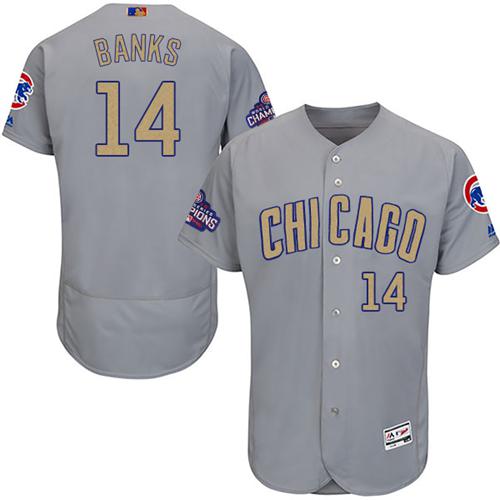 Cubs #14 Ernie Banks Grey Flexbase Authentic Gold Program Stitched MLB Jersey